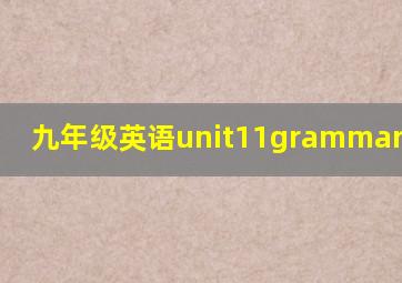 九年级英语unit11grammar focus